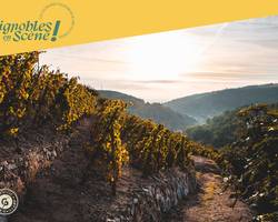 Rando Wine au Domaine Gaillard