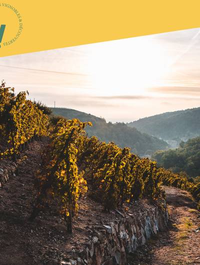 img-rando-wine-au-domaine-gaillard