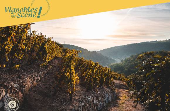 Rando Wine au Domaine Gaillard