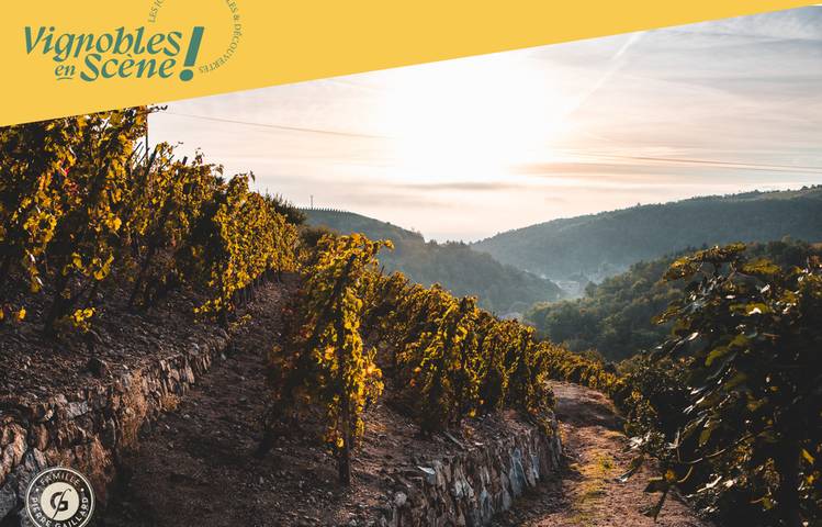 Photo of Rando Wine au Domaine Gaillard