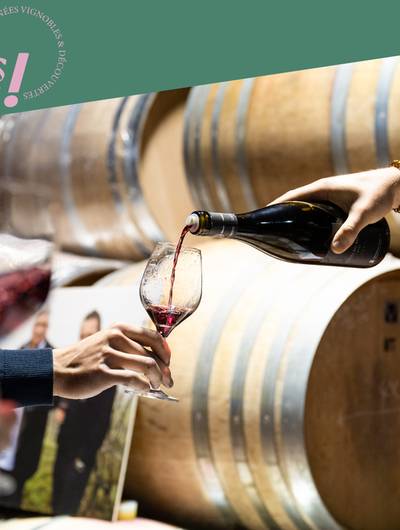 img-brunch-vigneron-les-vins-de-vienne