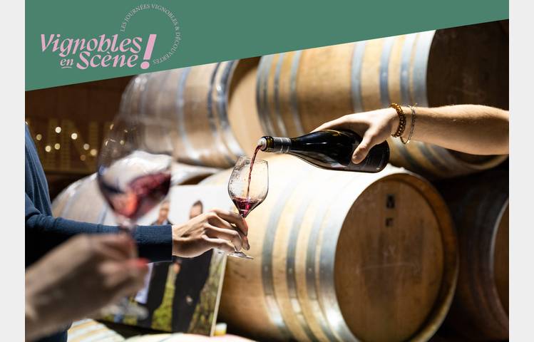 image de Brunch Vigneron - Les Vins de Vienne