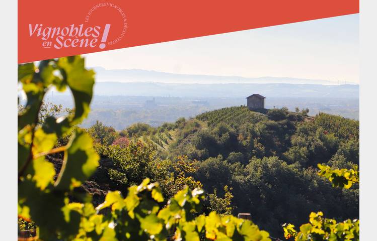 image de Échappée gourmande dans les vignes - Domaine Anthony Paret