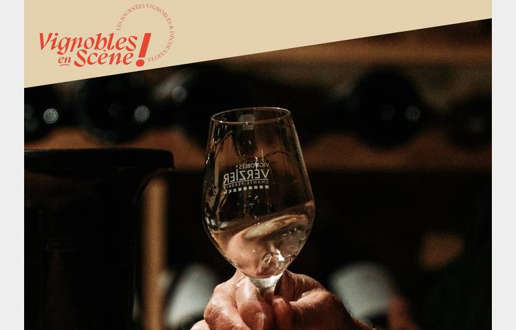 image de Wine Notes au Domaine Verzier