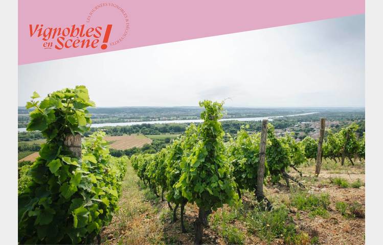 image de Wine Notes au Domaine Anthony Paret