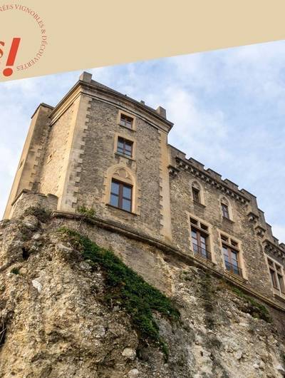 img-banquet-insolite-au-chateau-de-chateaubourg
