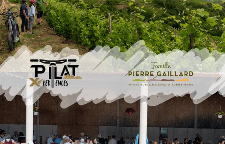 Photo of Balade en trottinette dans les vignes