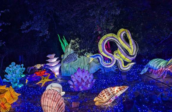 5ème Festival Lumières Sauvages
