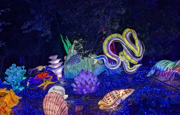 Photo of Wild lanterns festival
