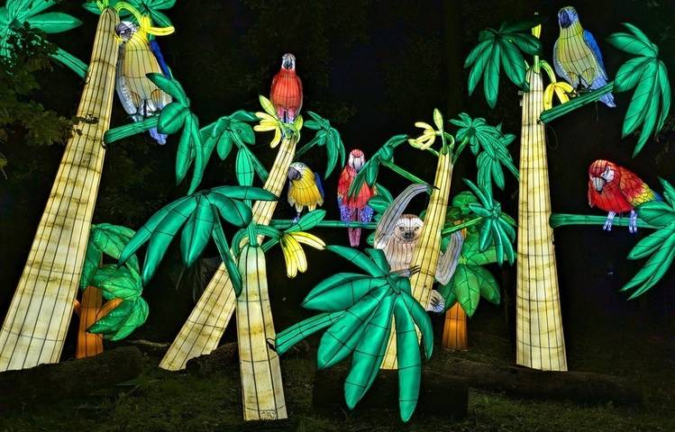 Photo of Wild lanterns festival