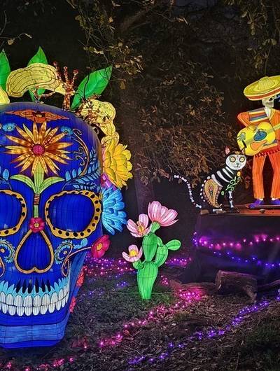 img-5eme-festival-lumieres-sauvages