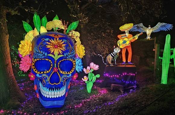 Wild lanterns festival