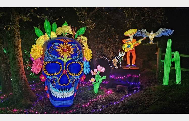image de Wild lanterns festival