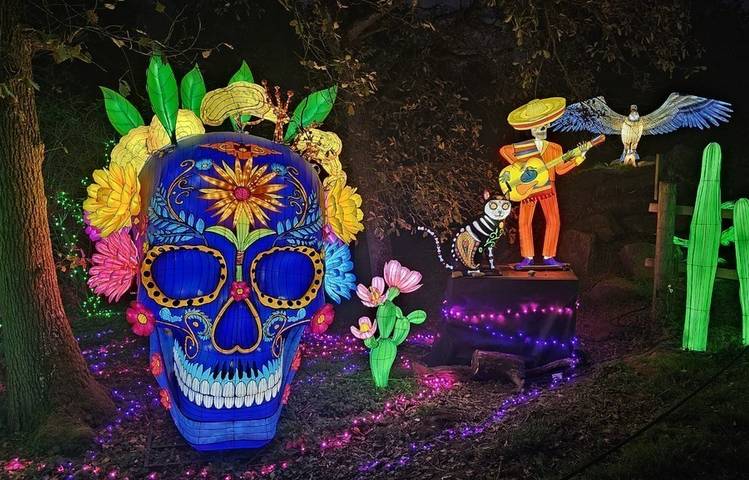Photo of Wild lanterns festival