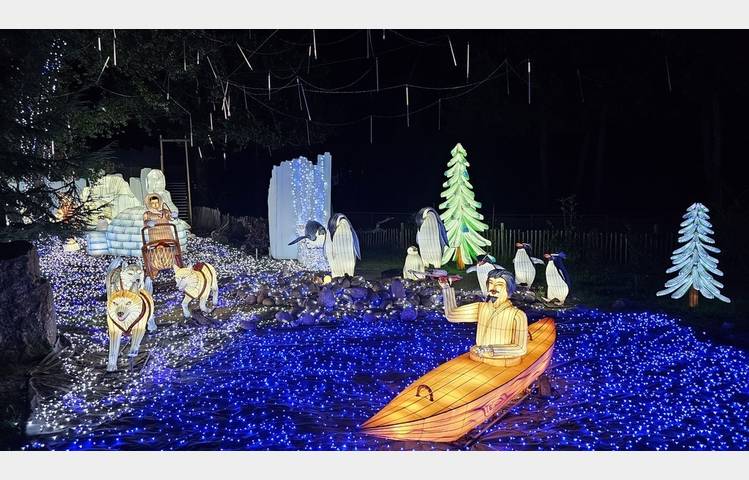 image de Wild lanterns festival
