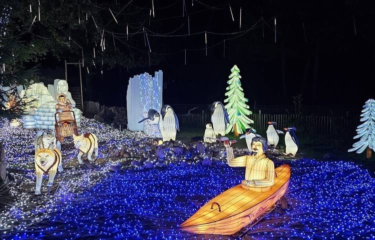 Photo of Wild lanterns festival