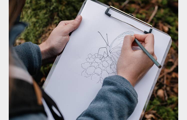 image de Croquis nature - Jardin Zen d'Erik Borja