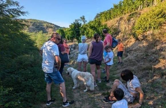 Rando wine (domaine Bombrun)