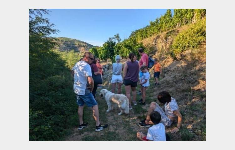 image de Rando wine (domaine Bombrun)