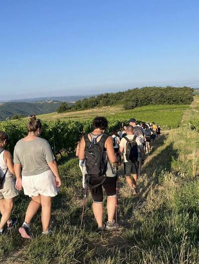 img-rando-wine-domaine-l-bertrand