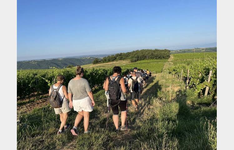 image de Rando wine (domaine L. Bertrand)