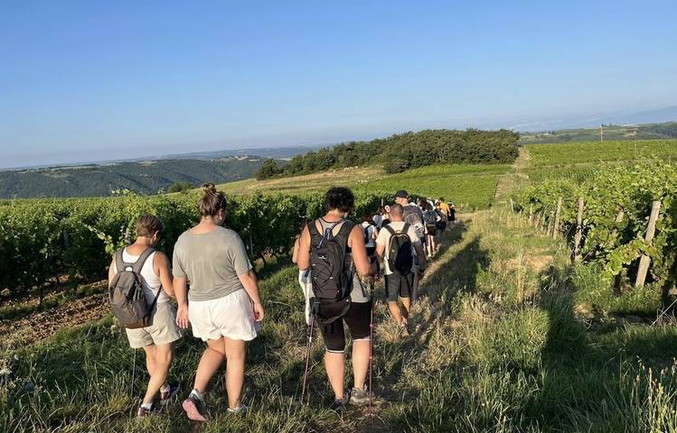 Photo of Rando wine (domaine L. Bertrand)