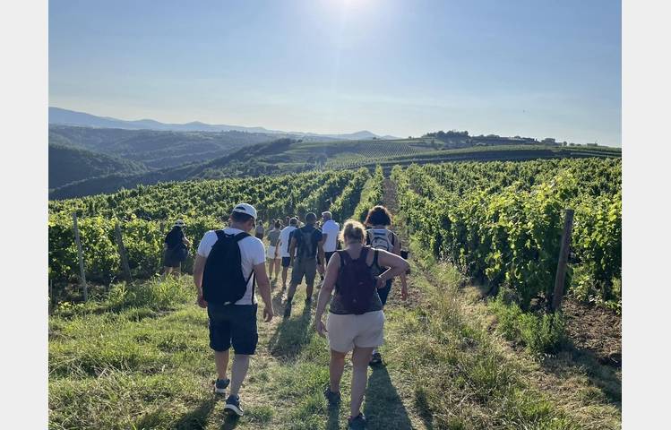 image de Rando wine (domaine L. Bertrand)