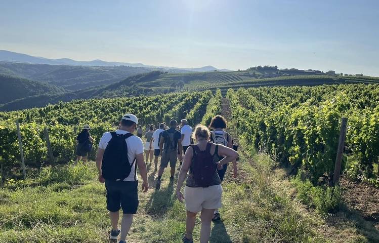 Photo of Rando wine (domaine L. Bertrand)