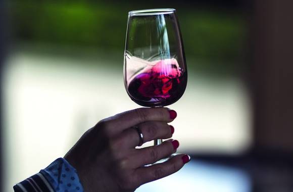 Ateliers dégustation - Portes ouvertes de la Cave de Tain