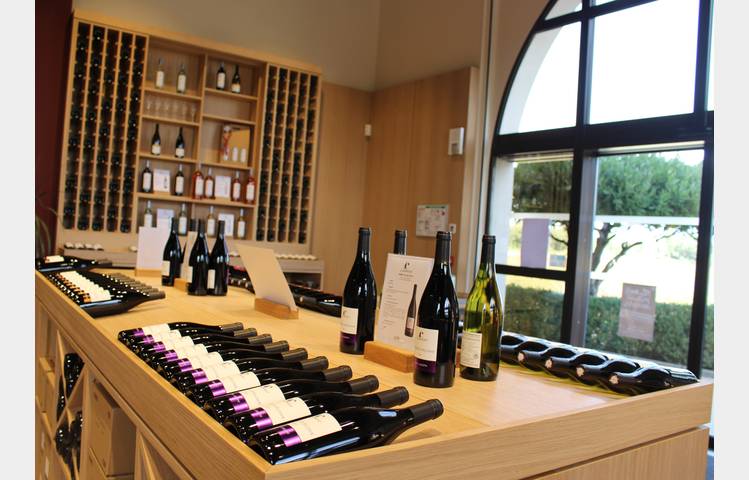 image de Matinée huîtres et vins - Portes ouvertes Cave Clairmont