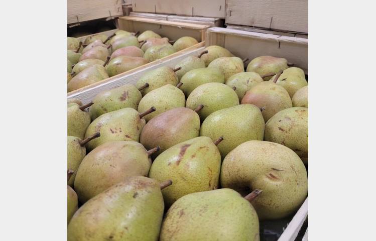 image de Portes ouvertes Domaine d'Emile