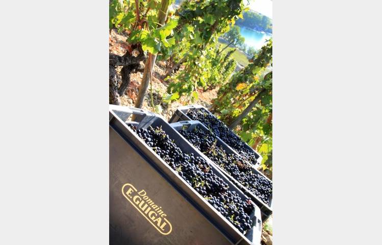 image de Maison Guigal