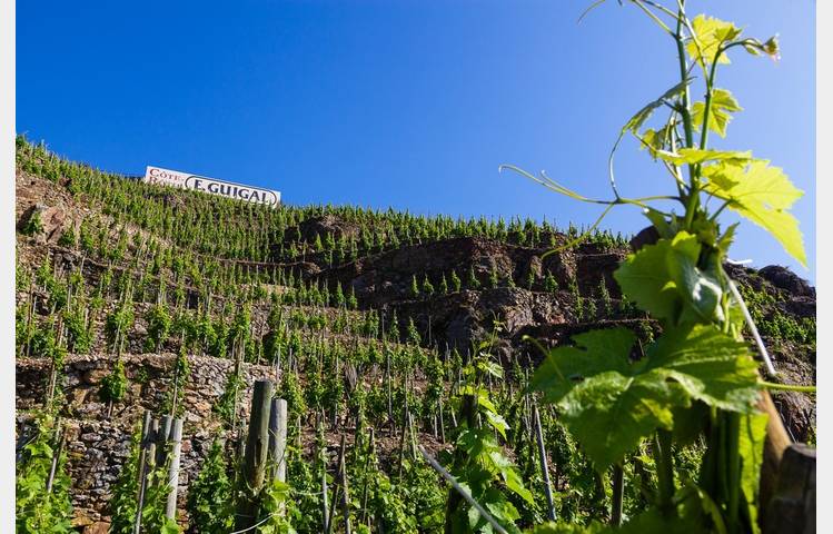 image de Maison Guigal