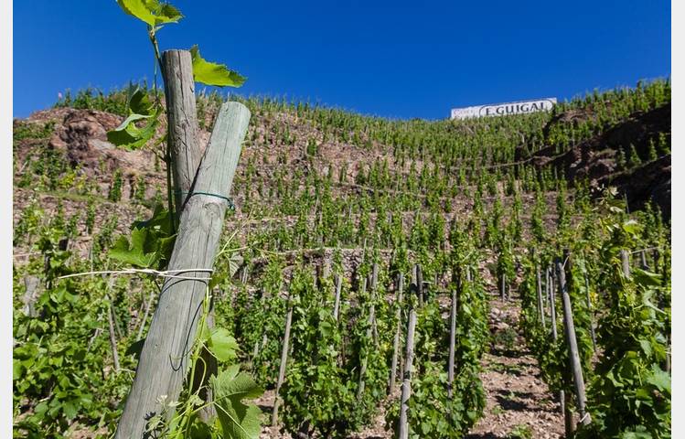 image de Maison Guigal