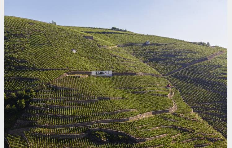 image de Maison Guigal