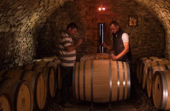 Domaine Merlin François