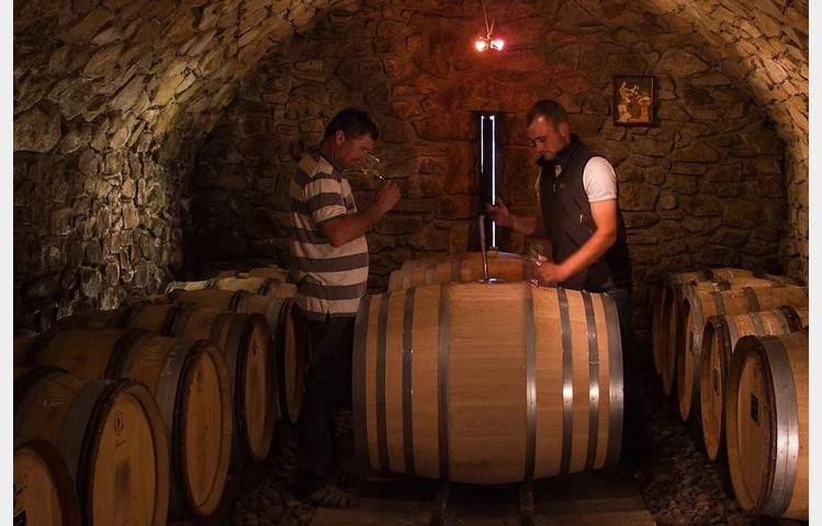 image de Domaine Merlin François