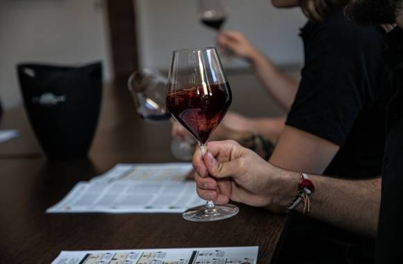 Atelier Découverte "Rhône Sud" - M.CHAPOUTIER