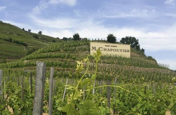 Atelier Découverte "  100% Saint Joseph   " - M.CHAPOUTIER