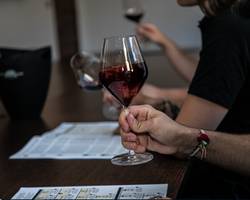 Introduction to tasting: the regions" - M.CHAPOUTIER