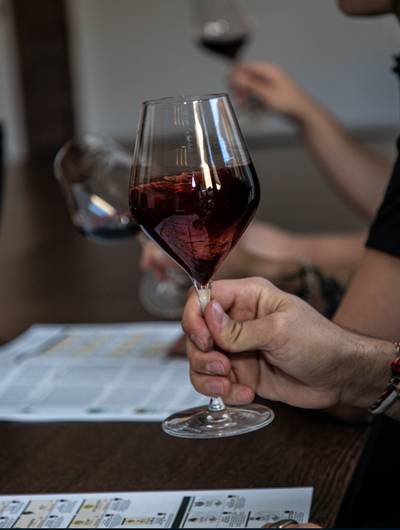 img-atelier-decouverte-initiation-a-la-degustation-les-regions-mchapoutier