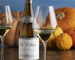 Atelier "Vin & saveurs d'automne" - M.CHAPOUTIER