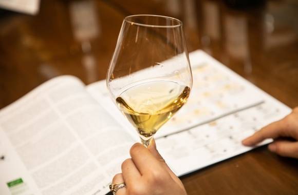 Atelier Découverte "  Vin & Spécialités locales " - M.CHAPOUTIER