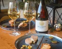 Wine & foie gras" workshop - M.CHAPOUTIER