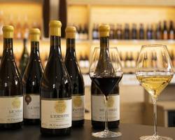 Atelier "Grands Vins" - M.CHAPOUTIER