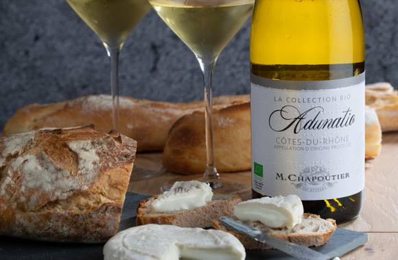 Atelier "Vin & fromage" - M.CHAPOUTIER
