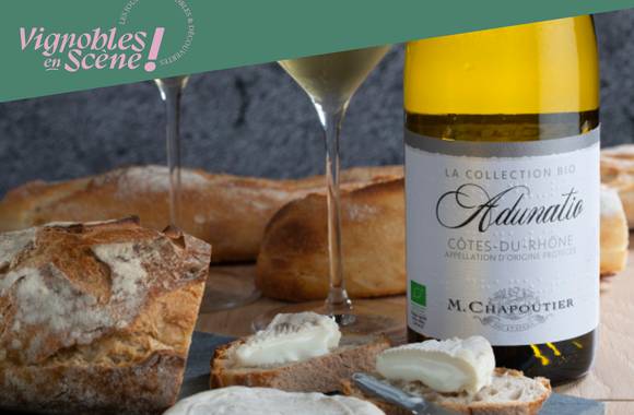Atelier "Vin & fromage" - M.CHAPOUTIER