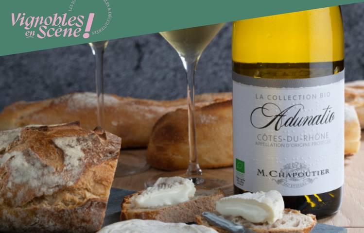 Photo of Atelier "Vin & fromage" - M.CHAPOUTIER