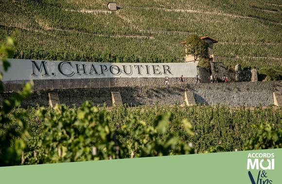 Atelier Découverte "  100% Crozes-Hermitage  " - M.CHAPOUTIER