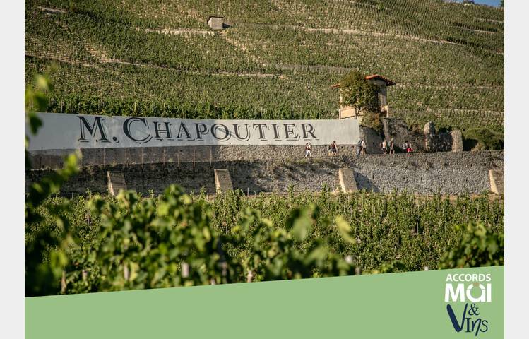 image de Atelier Découverte "  100% Crozes-Hermitage  " - M.CHAPOUTIER